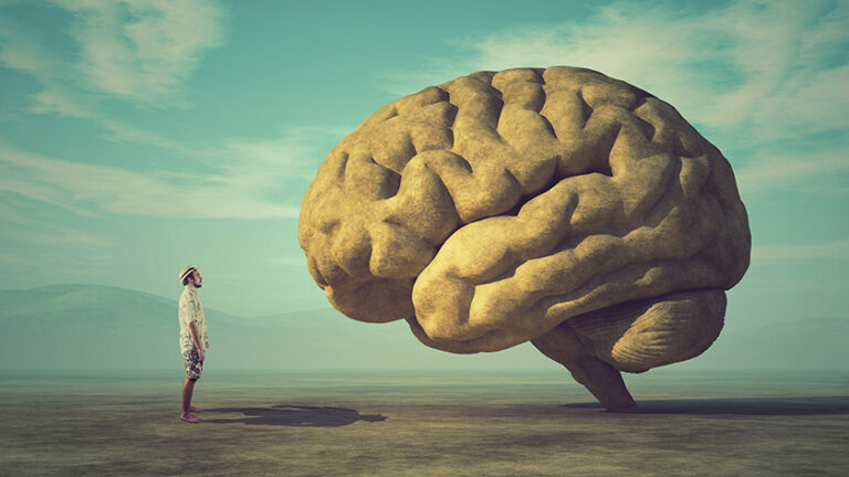 man and brain