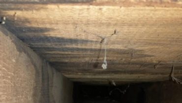 I am a homeowner – I was baffled when I ripped up floorboards in my 300-year-old house & made a bizarre find