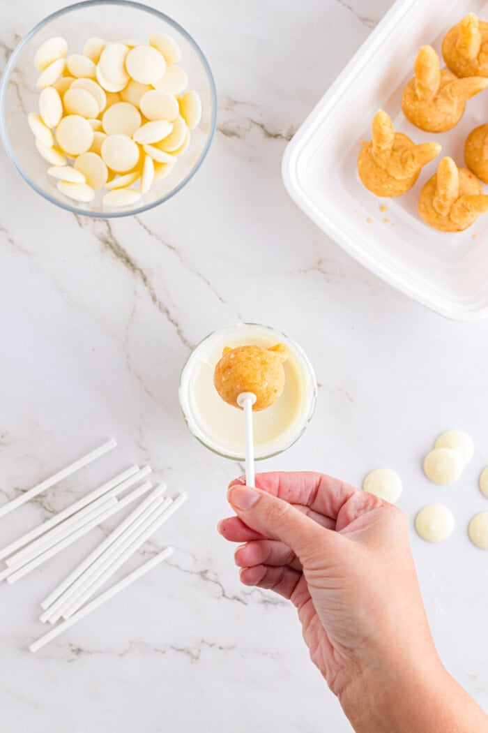 Add the stick to the Easter Cake Pops.