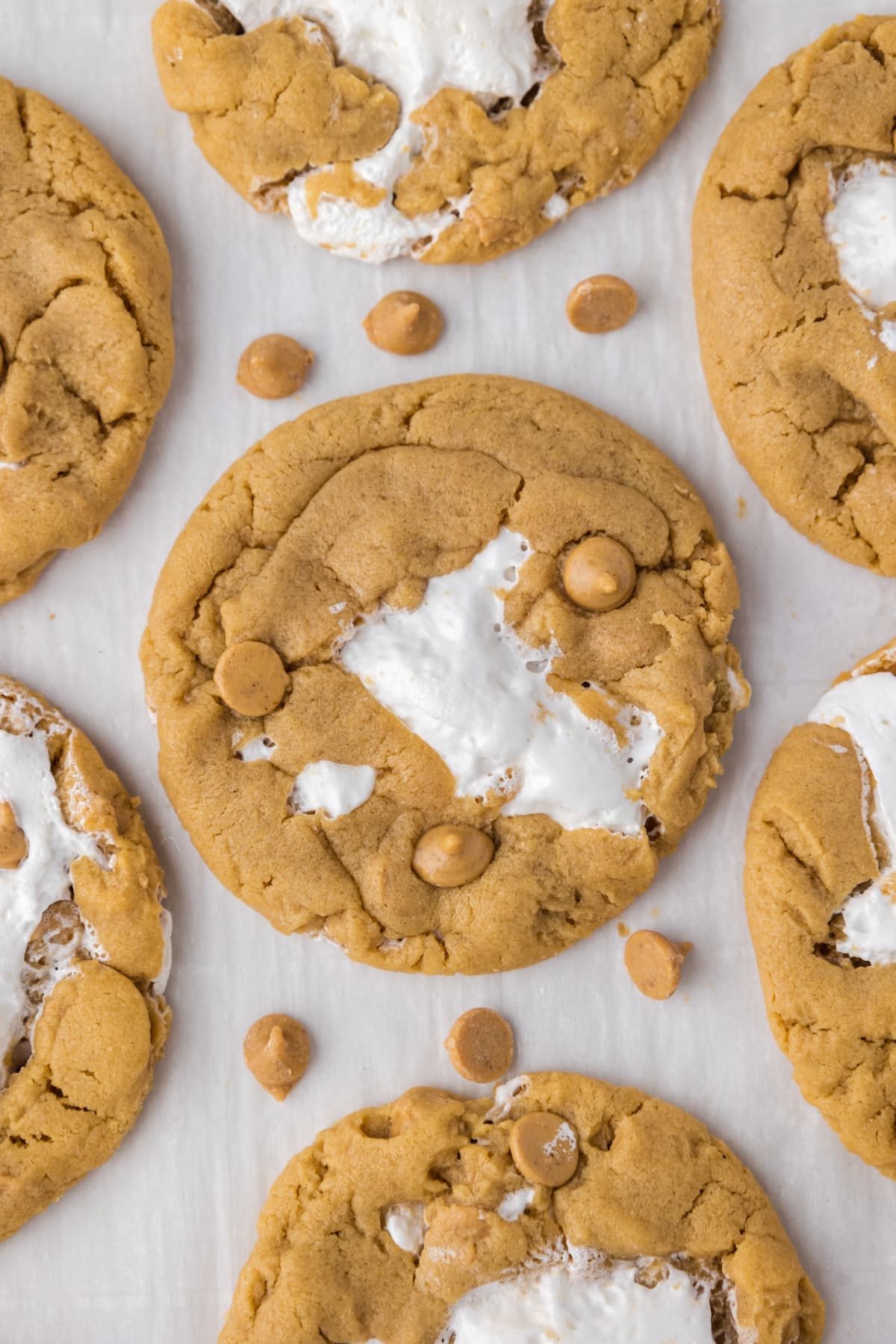 fluffernutter cookies on white parchment paper with peanut butter chips