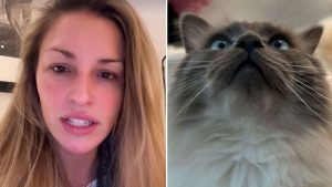 Zara McDermott terrified and frantic after beloved cats go missing