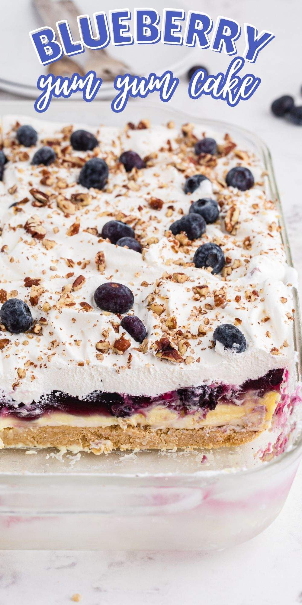 This Blueberry Yum Yum Cake is a refreshing layered cake dessert that is perfect for a party, a casual social barbecue, or whenever you want a creamy dessert. via @familyfresh