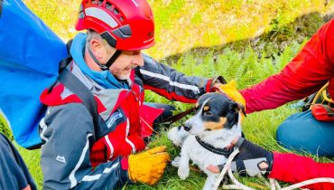 A dog fell 60 metres from the top of a waterfall