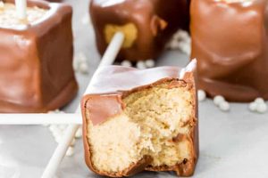 Chocolate Peanut Butter Cheesecake Pops