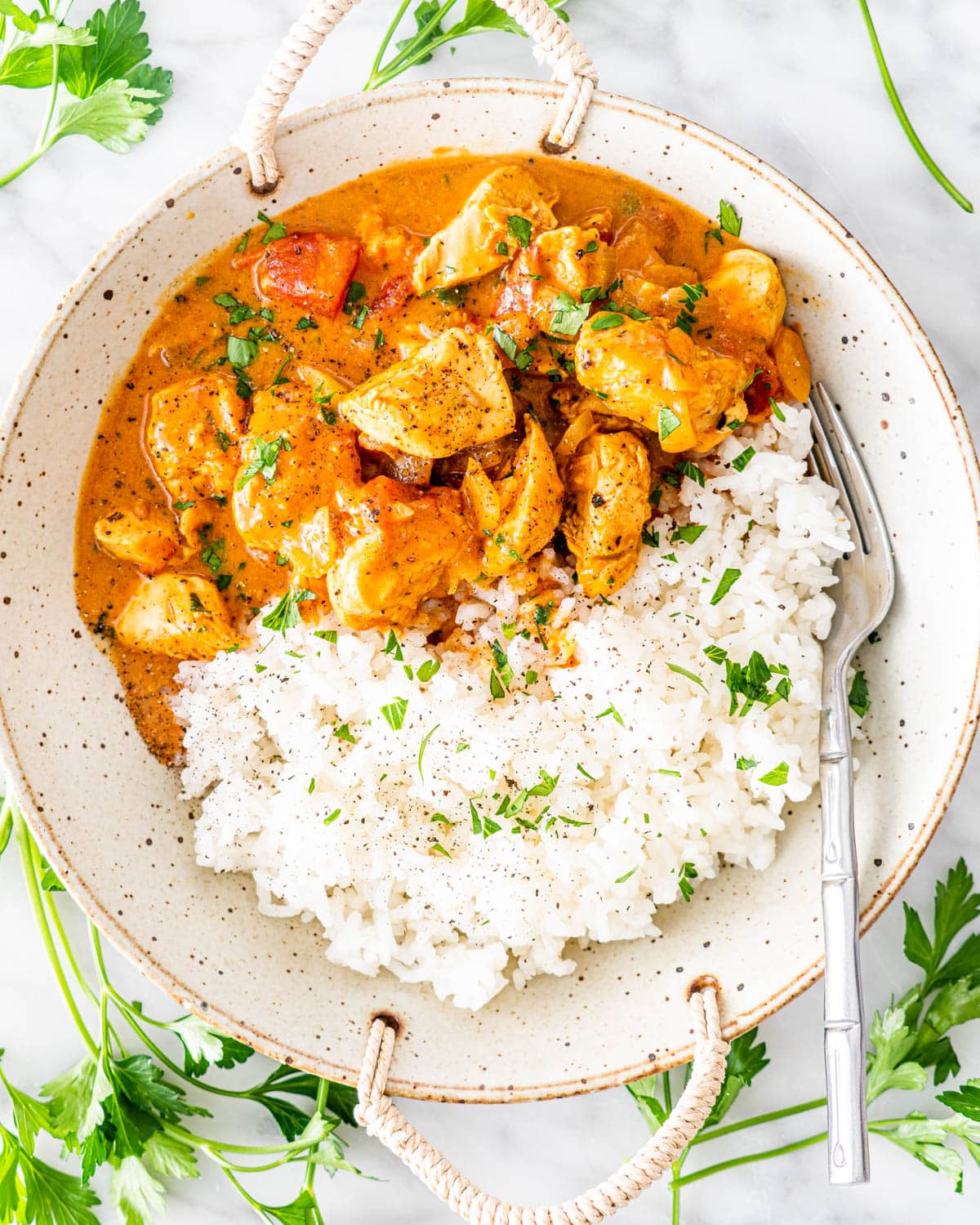 chicken curry zenith with coconut and rice in a bowl