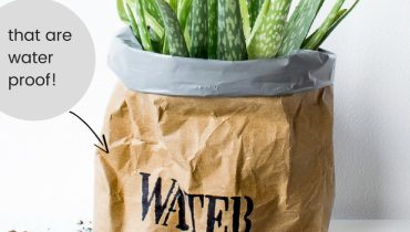 How to create a DIY planter bag using kraft paper
