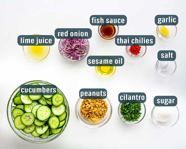 Overhead shot of all the ingredients needed to make Thai Cucumber Salad.