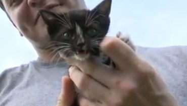 A kitten trapped in a storm drain for 2 days arouses concern among residents