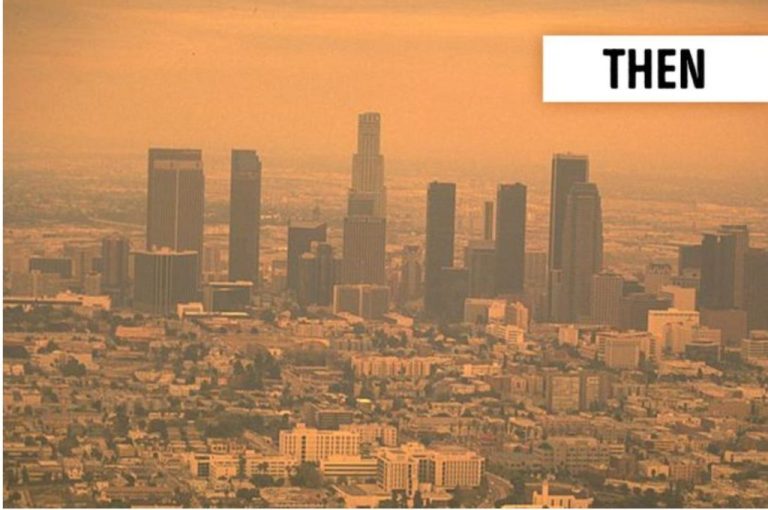 L.A.-1024×680.jpg