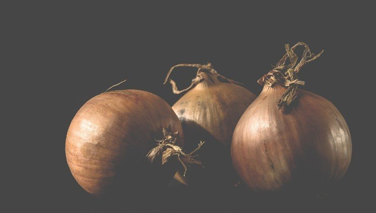 Natural Insecticide with Onions