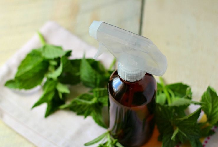 Scent your home with mint leaves