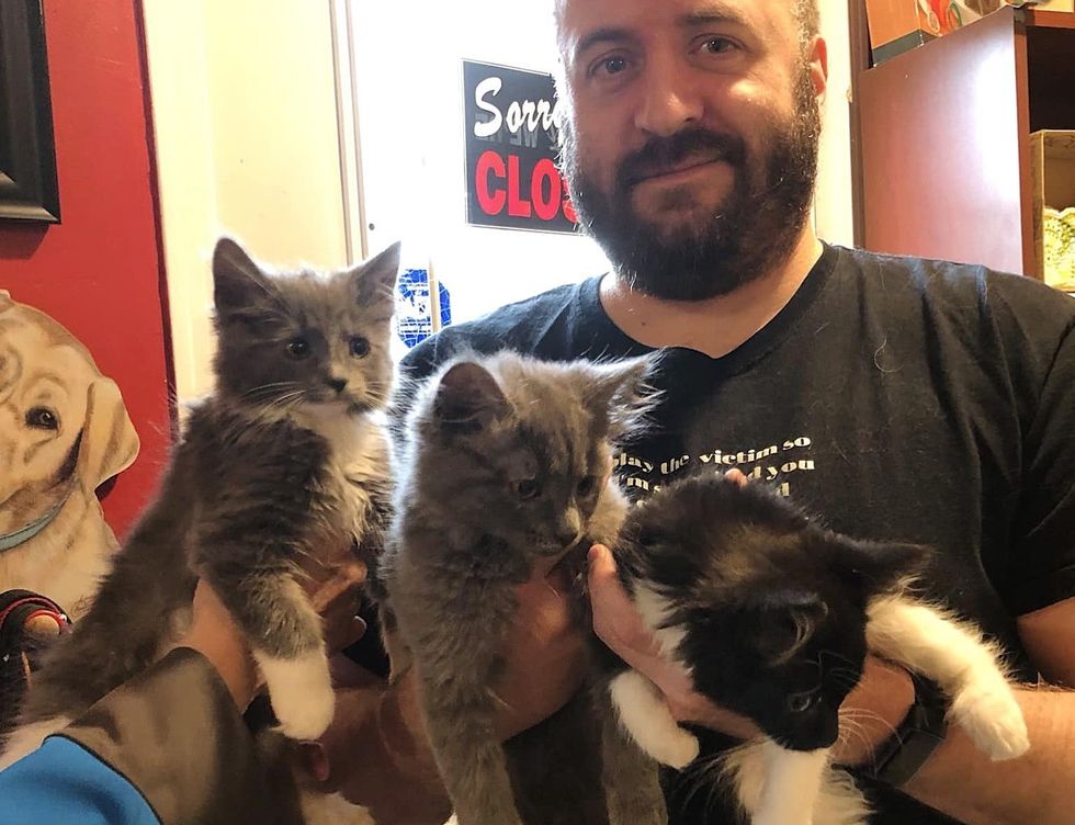 man adopts 3 kittens