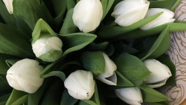 Tips for Growing Tulips : Make an economical fertilizer