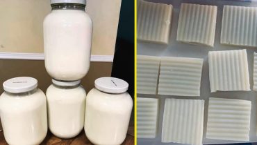 Crafting Cold-Processed Lard Soap from Scratch