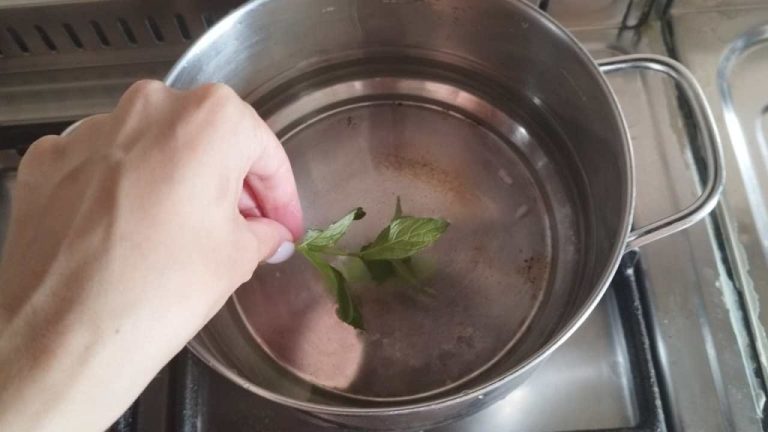 Foglie-di-menta-in-pentola-1024×576.jpg
