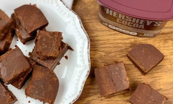 Hersheys Cocoa Fudge Recipe