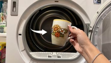 Washing Machine: How to Remove Limescale Residue and Mold