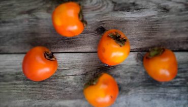 How to grow persimmons (even in pots)