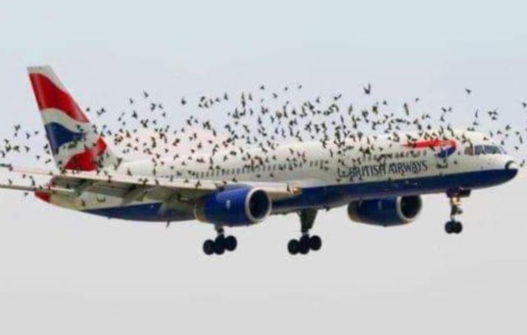 plane aeroport