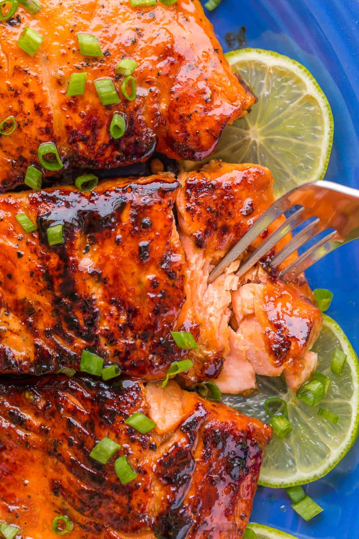 glazed salmon with honey and soy sauce marinade eaten with fork