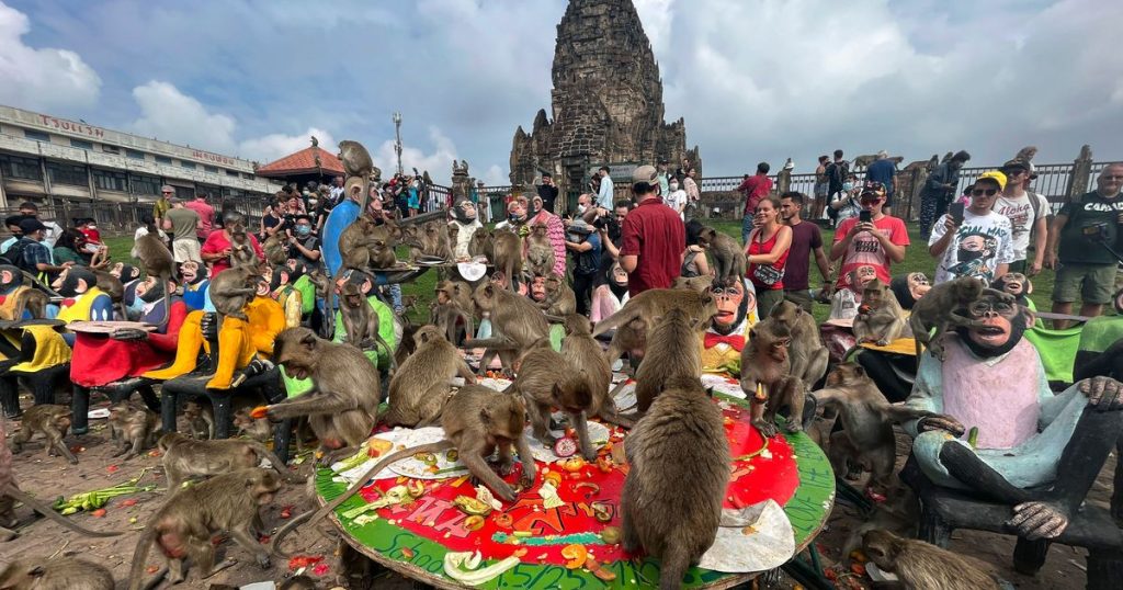 Lopburi’s Monkey Mayhem: A Comprehensive Plan To Restore Harmony 