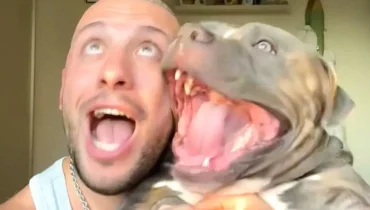 Man and His Dog Share Contagious Laughter in Heartwarming Viral Video